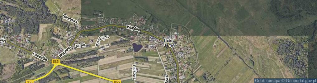 Zdjęcie satelitarne Lisie Jamy ul.